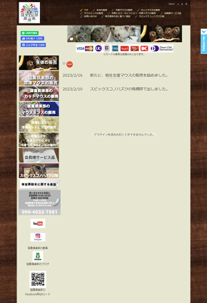 まみ　カットひよこ　100羽分 まみ カットひよこ 100羽分 81KeWgnsrYL._AC_SY200_QL15_.jpg